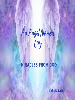 cover image of An Angel Named Lilly
